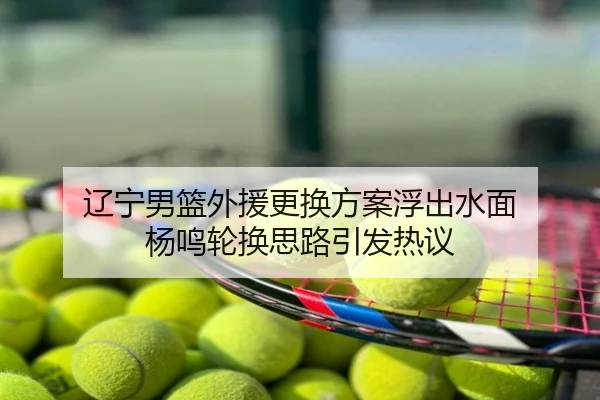 辽宁男篮外援更换方案浮出水面 杨鸣轮换思路引发热议