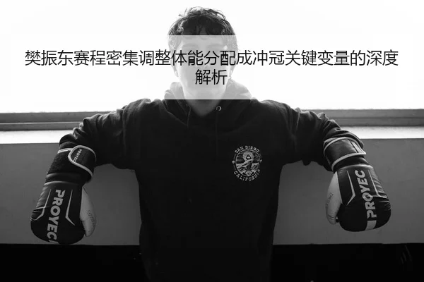 樊振东赛程密集调整体能分配成冲冠关键变量的深度解析