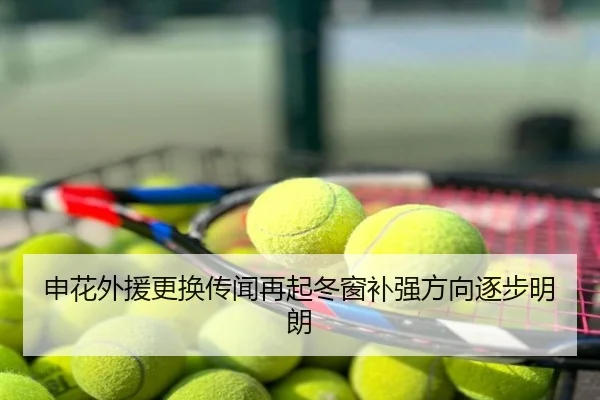 申花外援更换传闻再起冬窗补强方向逐步明朗